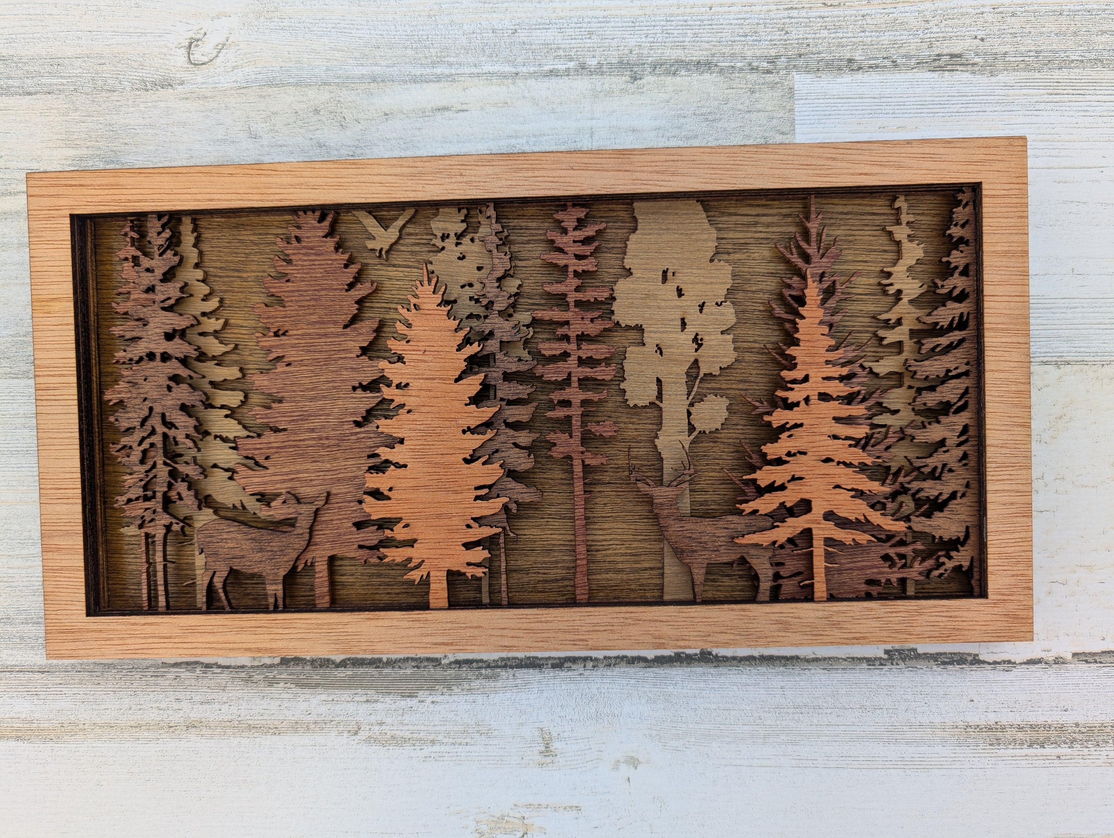Wildlife in Forest Scene